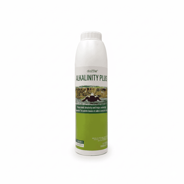 Minéraluxe Alkalinité plus pour spa